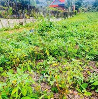 Đất Rẻ Phước Tân - Xuyên Mộc - Brvt