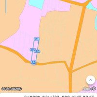 Đất Rẻ Phước Tân - Xuyên Mộc - Brvt