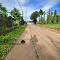 Bán Gấp Lô Đất Vườn Mặt Tiền 40M Giá Chỉ 750 Triệu/Sào Gia Kiệm, Đồng Nai
