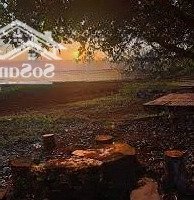 Sở Hữu Ngay Thiên Đường Nghỉ Dưỡng Bên Hồ Trị An View Đỉnh, Giá Tốt!