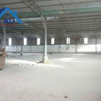 Cho Thuê Nhà Xưởng Giá Rẻ Hố Nai 3 Trảng Bom, 2200M2 Chỉ 55 Triệu