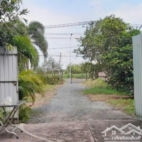 Kho Bãi Nhà Xưởng Cho Thuê Quốc Lộ 22 , Củ Chi , Dt: 10,000M2 , Giá 150 Triệu/Th
