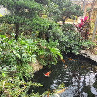 Bán Biệt Thự Bát Khối, , Long Biên , Gara Ô Tôdiện Tích323M2 ,Mt 10M Giá Chào 42,2 Tỷ.