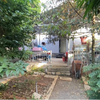 Chính Chủ Cần Bán Gấp Nhà Vườn Gần 1000M2 Hoà Long Tp Bà Rịa Vũng Tàu Sổ Hồng Thổ Cư Giá Rẻ 6Ty990