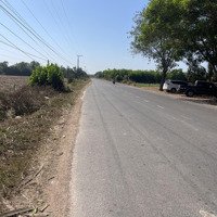 Cần Bán Nhanh 3 Mẫu Đất Mặt Tiền Đường Nhựa Tại Tây Ninh