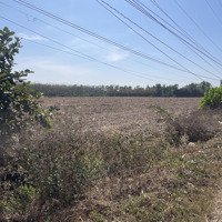Cần Bán Nhanh 3 Mẫu Đất Mặt Tiền Đường Nhựa Tại Tây Ninh