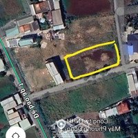 Bán 1298M2 Đất Cây Lâu Năm Có 80M2 Đất Ở.