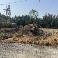 Bán Đất Nguyễn Bình, Nhơn Đức, Nhà Bè, Hcm Chỉ Với Giá Ưu Đãi 5,5 Tỷ, 1000M2