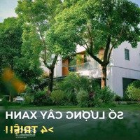 Eco Retreat - Mở Bán Biệt Thự, Nhà Phố - Nhận Tư Vấn Booking Dự Án Với Nhiều Ưu Đãi. Liên Hệ Ngay