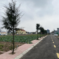 Tôi Cần Bán Gấp Lô Đất Quất Lâm, Giao Thuỷ 6X20M Chỉ 11 Triệu/M2