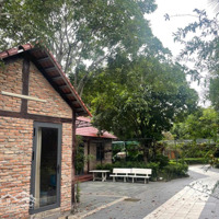 Chủ Định Cư Châu Âu Hạ Giá Bán Gấp Nhà Vườn Bình Chánh 2000M2, 15 Tỷ