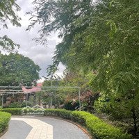 Chủ Định Cư Châu Âu Hạ Giá Bán Gấp Nhà Vườn Bình Chánh 2000M2, 15 Tỷ