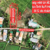 600M2 Đất Ninh Xuân,Tx Ninh Hòa Cắt Tùe Liên Gia Qh Full Thổ Cư Giá Rẽ Bèo