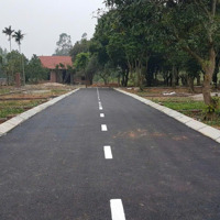 Lô Góc Sổ Đỏ Khu Sinh Thái Hồ Ban Tiện - Minh Trí Sóc Sơn Hn 224M2 16,Xtr/M2