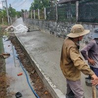 Hàng Hiếm Tại Trung Hòa, Chợ Gạo, Tiền Giang, 485 Triệu, 909 M2