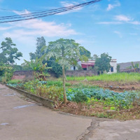 Bán Đất Tại Xã Hòa Thạch, Quốc Oai, Hà Nội, 1,95 Tỷ, 204 M2, Chính Chủ Uy Tín