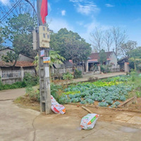 Bán Đất Tại Xã Hòa Thạch, Quốc Oai, Hà Nội, 1,95 Tỷ, 204 M2, Chính Chủ Uy Tín