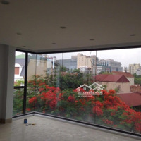 Cho Thuê Nhà Nguyên Căn Phố Giảng Võ 80M2 X 7 Tầng + Hầmmặt Tiền5M Lô Góc Thông Sàn Giá 120 Triệu/Tháng