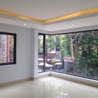 Cho Thuê Nhà Nguyên Căn Phố Giảng Võ 80M2 X 7 Tầng + Hầmmặt Tiền5M Lô Góc Thông Sàn Giá 120 Triệu/Tháng