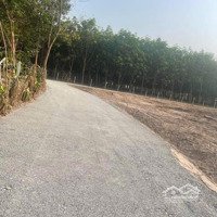 654M2 Đất Hoà Lợi Gần Khu Công Nghiệp Vsip2 Đường Xe Hơi Điện Nước Đầy Đủ