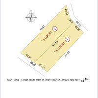 Bán Đất Hàng Hiếm Tại Hàm Thạnh, Giá Chỉ 250 Triệu, 1000 M2, Vườn Thanh Long Tươi Tốt