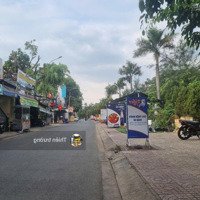 Nhà Ngộp Chủ Cần Bán Gấpmặt Tiềnđường Luu Chí Hiếu .P.tây Thanh.dt 4X30M C4 Đang Cho Thuê . Giá Bán 11.Ty Bl