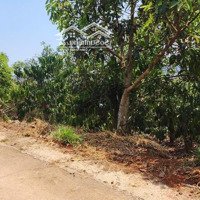 Chính Chủ Cần Tiền Bán Gấp Đất Xã Tà Nung, Tp Đà Lạt