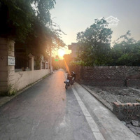 Cần Bán 48.9M2 Ô Tô Thông Khoan Tế, Đa Tốn, Gia Lâm, Hà Nội
