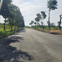 Dự Án Hud Đường N6 - Cơ Hội Đầu Tư Sinh Lời Tại Nhơn Trạch, Đồng Nai