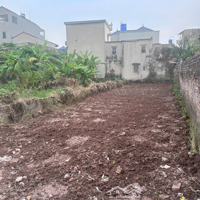 Đất Quất Động Thường Tín Hà Nội