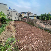 Đất Quất Động Thường Tín Hà Nội