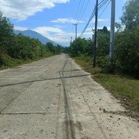 Đất Cây Lâu Năm Hòa Ninh, 2000M2 Đường 7M Khu Vực Đất Ở Nông Thôn