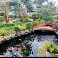 Bán Nhà Vườn Đẹp Rộng Rãi Có Hồ Cá. Thuộc Phường Thống Nhất Tỉnh Hoà Bình