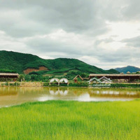 Đất Làm Vườn, Trang Trại, Ninh Tân, Ninh Hoà, Khánh Hoà