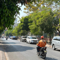 Cho Thuê Nhà Mặt Tiền Nội Bộ 51 Thành Thái, P14, Quận 10