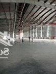 Mời Thuê Kho Xưởng Đường Đào Cam Mộc, 1000 - 5.000M2, Có Pccc, Xuất Vat, Cont Vào, 50 Nghìn/M2/Th