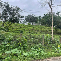 Bán Lô Đất Vườn 1.900M2 Có 430M Đất Ở Hoà Ninh, Hoà Vang, View Cánh Đồng Không Dính Quy Hoạch