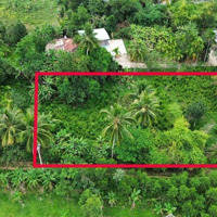 Bán Lô Đất Vườn 1.900M2 Có 430M Đất Ở Hoà Ninh, Hoà Vang, View Cánh Đồng Không Dính Quy Hoạch