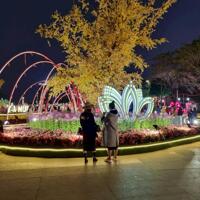 Chính chủ bán lô đât đường 5m5 vỉa hè 1m5 Phan bôi  , Quận Sơn Trà ( SÁT NGUYỄN CÔNG TRỨ ) ⭐⭐⭐⭐
