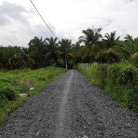 Đất Nền Tại Đường Nhị Bình 2, Xã Nhị Bình, Hóc Môn, 3,6 Tỷ, 524M2 Đẹp, Nhiều Tiện Ích