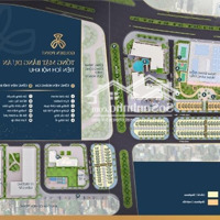 Cập Nhật Quỹ Căn Golden Point Tuần 2 Tháng 2/2025