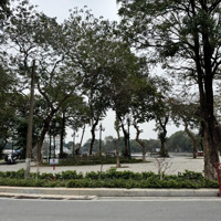 Mặt Phố - Ô Tô Đỗ Cửa - Kinh Doanh - Dòng Tiền - Giá Chỉ 15.2Tỷ - Nguyễn Du Nối Liên Trì