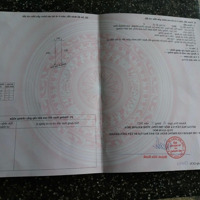 Kẹt Tiền Bán Rẻ Lô Diên An Hẻm Cây Duối Giá Cực Sốc