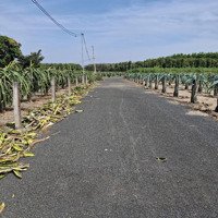 Bán Đất Xã Bưng Riềng ,Xuyên Mộc ,Bà Rịa Vũng Tàu