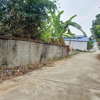 Siêu Hót! Bán Đất Thổ Cư Xã Phú Mãn Vị Trí Đẹp, Giá Rẻ Nhất Thị Trường