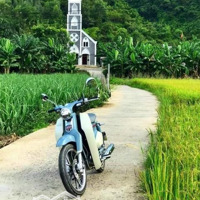 Bán Đất Vườn Trên + Hơn 500 Cây Mai Lớn