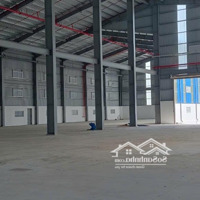 Cho Thuê Kho- Nhà Xưởng Đầy Đủ Công Năng- Diện Tích Linh Hoạt Tại Kcn Hoà Cầm