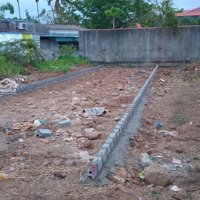 Bán Lô Đất 100M2 Mặt Đường 303, Phương Chử Đông, Xã Trường Thành