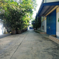 Cho Thuê Xưởng 3700M2 Tại An Điền, Bến Cát, Bình Dương