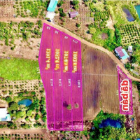 Ea Drong-Buôn Hồ 1400M2 Giá Chỉ 168 Triệu Full Hồng Lên Thổ Được Cách Quốc Lộ 29 Chỉ 1Km Đủ Tiện Ích